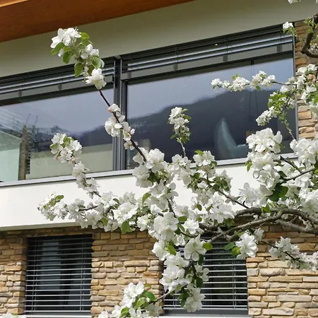 Ferienhaus Raich Vandans Exterior photo