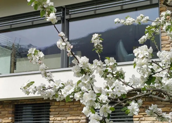 Ferienhaus Raich